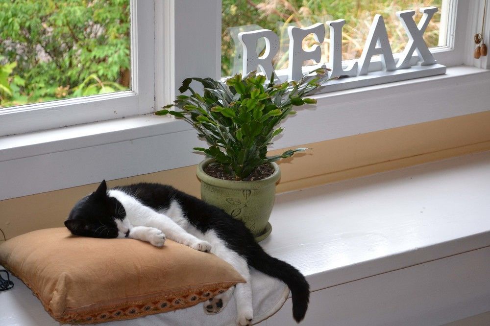Argyle House Bed And Breakfast Friday Harbor Dış mekan fotoğraf